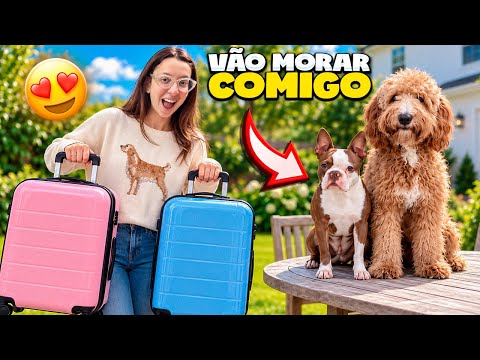 NOSSAS CACHORRAS VÃO MORAR NA MINHA CASA