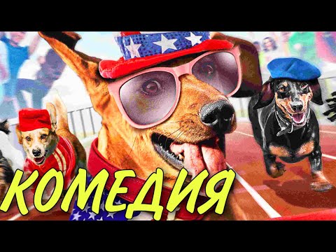 ПОТРЯСАЮЩАЯ СМЕШНАЯ КОМЕДИЯ! ДЛЯ ВСЕЙ СЕМЬИ! "Супер Такса" ЗАРУБЕЖНЫЕ КОМЕДИИ, НОВИНКИ КИНО