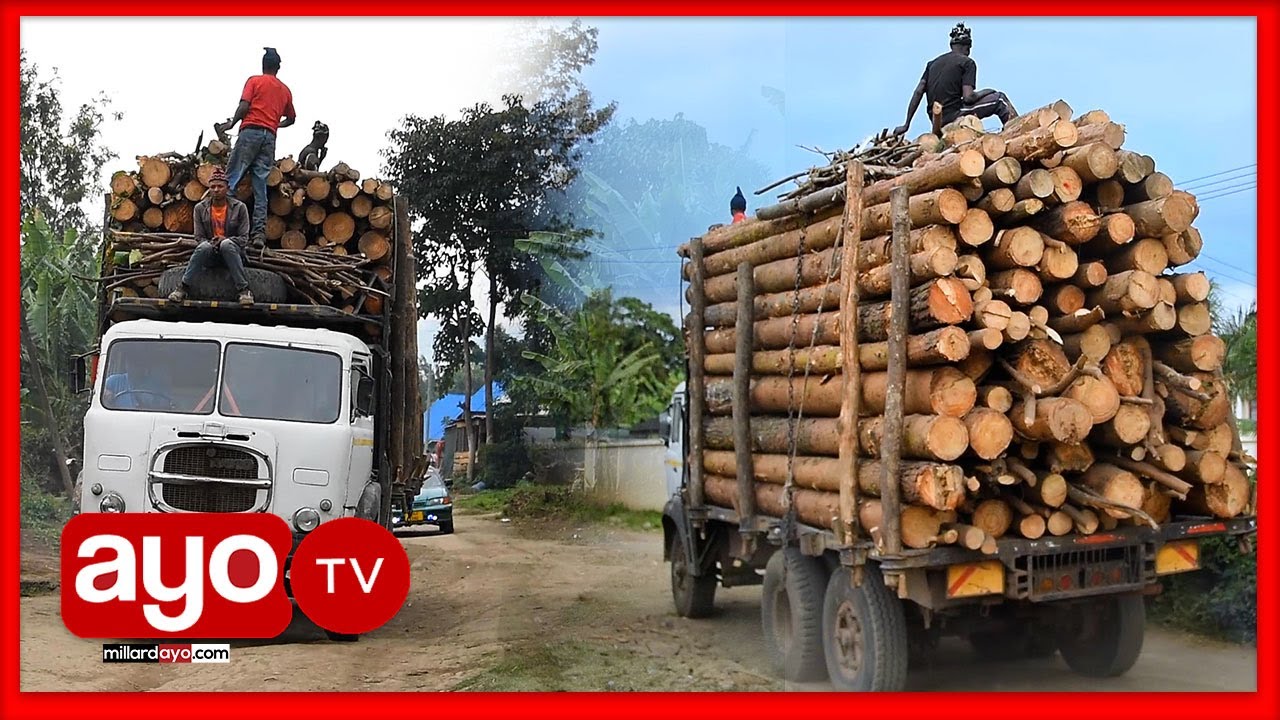 HII NDIO GARI AINA YA FIAT, NI BALAA INA GIA TISA INABEBA MZIGO MKUBWA, DEREVA AIELEZEA