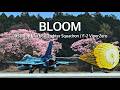 [百里基地] 桜とF-2戦闘機　Cherry blossoms in full bloom　JASDF 3SQ F-2 ViperZero
