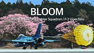[百里基地] 桜とF-2戦闘機　Cherry blossoms in full bloom　JASDF 3SQ F-2 ViperZero