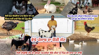 ਸੰਧੂ ਬਾਈ ਦੀ ਹਿੰਮਤ ਨੂੰ ਸਲਾਮ ਆ / shaunki jatt shaunki sardar / goats / murgi palan/ rabbits, gaddi dog
