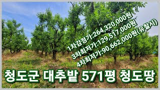 [낙찰]청도군 금천면 신지리 600평미만의 청도농지 대추밭 청도싼땅 취득하실분 오세요
