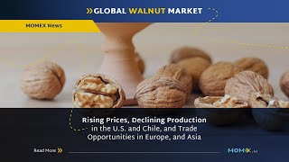 Walnut Production, Import & Export, Prices & Trends News Insights with Momex