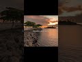 Tere Sang Yaara - Atif Aslam | 🌅💫 Aesthetic Status | Chill Vibezs