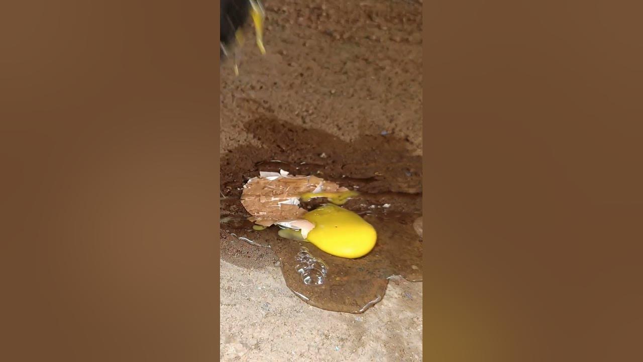 Crushing egg under car tyre|Crushing videos#asmr #experiments #