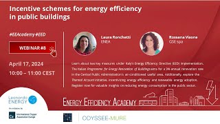Incentive schemes for energy efficiency in public buildings [EEA08]