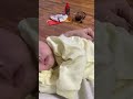 Sleepy Avo