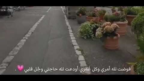 ( فاصبر صبرا جميلا) القارئ: اسلام صبحي