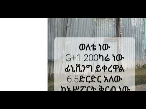 ቪዲዮ: በአያት ውስጥ የመጽሃፍ መደርደሪያው የት ነው ያለው?