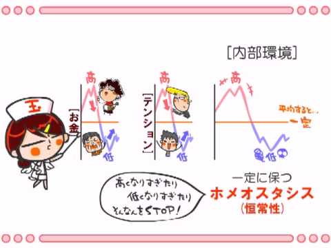 解剖生理学「ホメオスタシス」