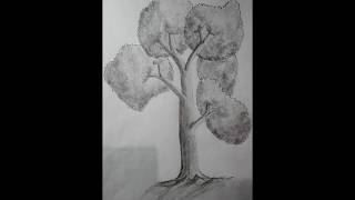 رسم شجرة بالرصاص How to draw a tree with a pencil