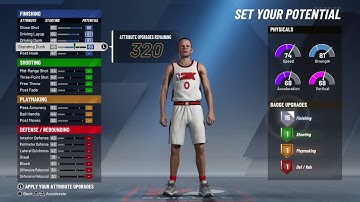 BEST 2-WAY POST PLAYMAKER BUILD ON NBA 2K20! RARE BUILD!