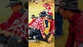 Así marcan y protegen al ganado en los Andes