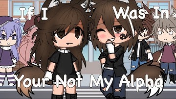 If I was in “Your Not My Alpha”