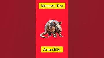 Brain memory test 😜 99% failed #braintest #memorytest #memorygame #armadillo #gk_quiz #riddles