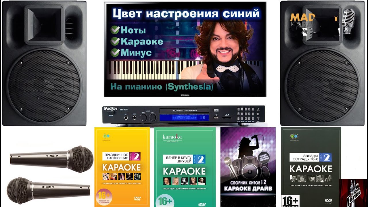 Караоке машина аренда