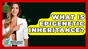 What Is Epigenetic Inheritance? - Biology For Everyone