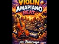 FREE AMAPIANO BEAT VIOLIN AMAPIANO PRO NATERANYA VIBE INSTRUMENT TYPE BEAT ASAKE LIL WAYNE 