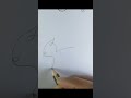 Daily art 209  easy drawing guide  simple art  how to draw a cat in 1 line drawing