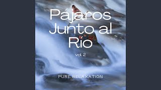 Aves, el Bosque, el Río Pt. 14