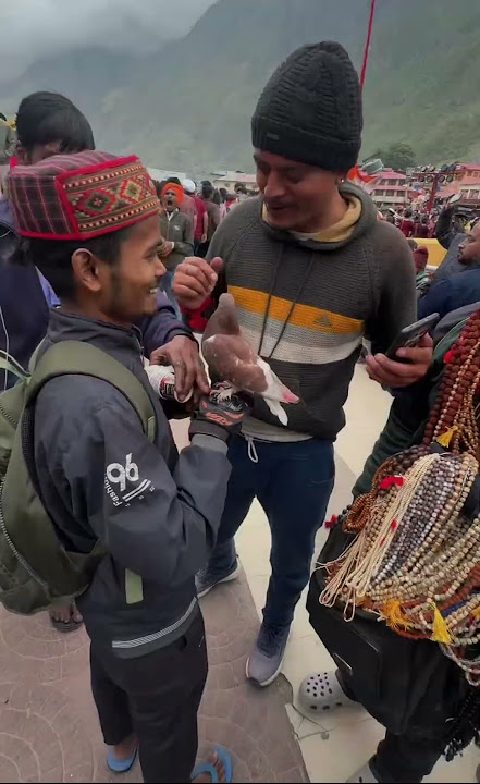 Badrinath dham public reaction video #birds #ram #public #Reaction #bird #kumbh #travel #nature
