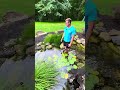 The power of a wetlands filter! 🪄