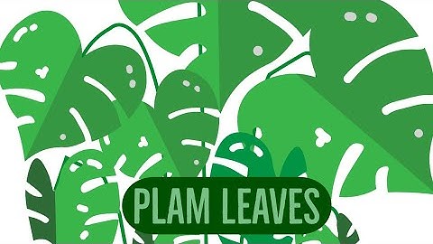 Palm Leaves  | Illustrative Vectors