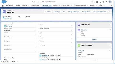 DIY Salesforce Sales Cloud app using Lightning Platform