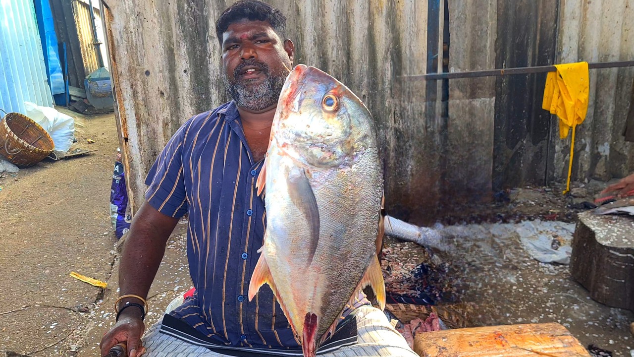 KASIMEDU FISH MARKET 🔥 TREVALLY 🐟 FISH CUTTING 🔥  #kasimedufishmarketlatest #speedselvam