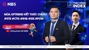 MÙA UPTREND KẾT THÚC CHƯA? | #STB #CTG #SHB #SSI #POW | THEO DÒNG INDEX 07.11.2025