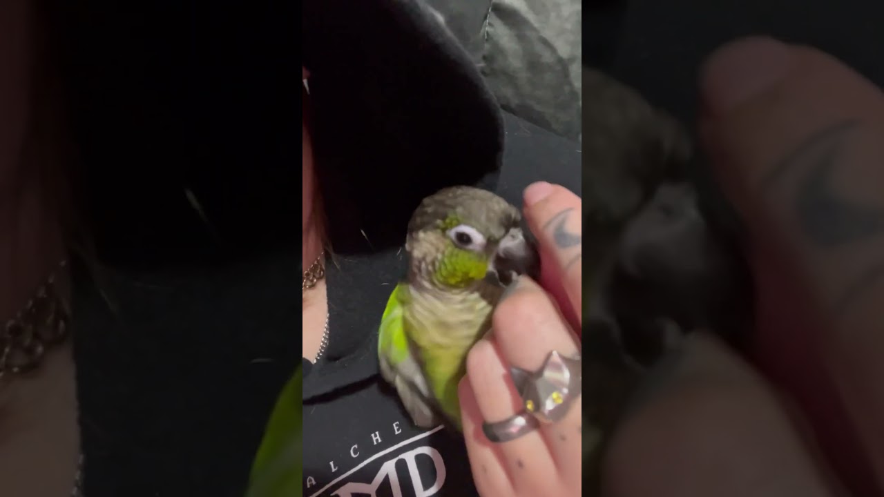 What a little gremlin. 