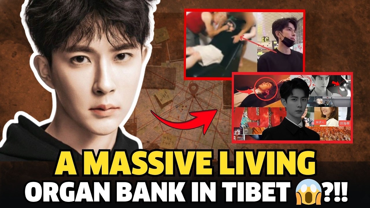 Yu Menglong scandal: Did he uncover a massive living organ bank in Tibet and get silenced?