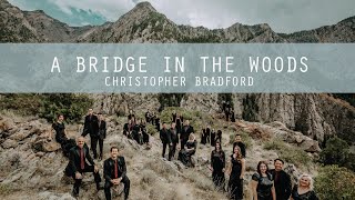 A Bridge In The Woods- Christopher Bradford