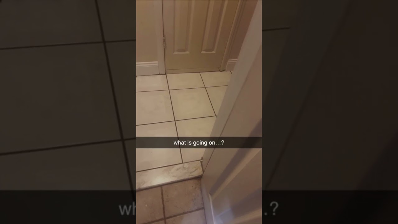 what is going on...? 