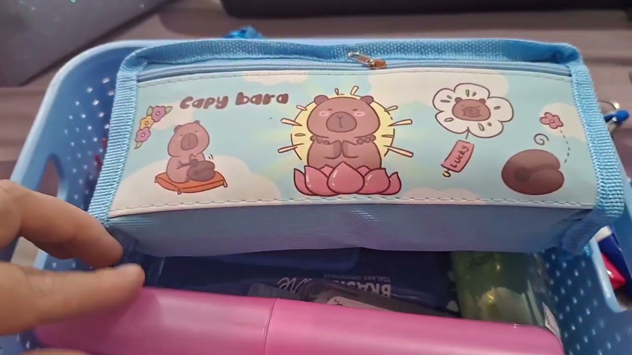 MATERIAL ESCOLAR DE PROFESSORA 2026