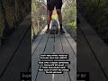 OMG! So Cute Moments You Can't Miss! #shorts