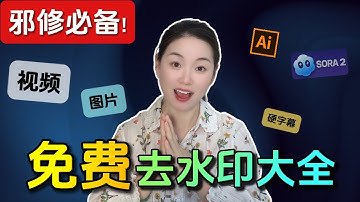 【老司机必备】4款永久免费去水印神器，Sora2水印、动态水印、视频字幕条统统无痕消失！比付费软件还牛！