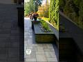 Paver Patio, Raised Planters &amp; Landscape Lighting - Bellevue, WA | Green Day Landscape