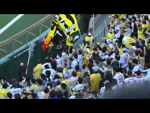 阪神タイガース　二次会なしのため六甲おろし後に即三本締め　＠甲子園　20230408