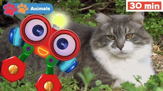 My Animal Friends with Robi | Learn Animals for Kids w Robi | Animals Names & Sounds | First Words