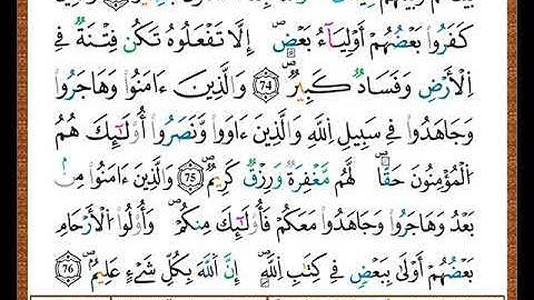 ختمة مصحف التجويد برواية قالون الصفحة رقم  186