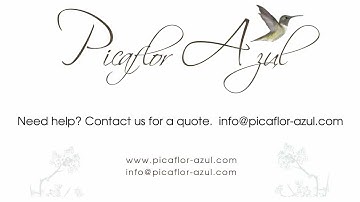 Easy Help Zen Cart Tutorial: How to Send a Newsletter