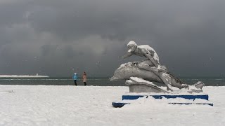 Черноморское словно в волшебном сне. Крым. Россия - 2017(Зимняя сказка ... 