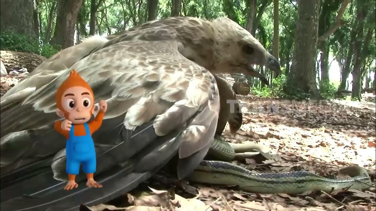 Uning eshak porno suratini yoyish