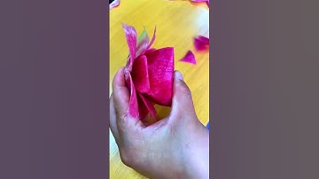 Nghệ thuật cắt tỉa hoa quả P45