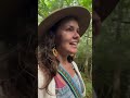 Make herbal infused oils to keep the insects off of you.