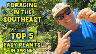 Top 5 Tastiest and Easiest to Identify Wild Plants to Forage in the Southeast in Spring