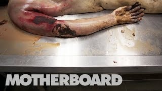 (NSFW) Still Life: Reviving the Dead With DIY Forensics (Trailer)