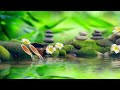 Relaxing Music 24 Hours, Stress Relief Music, Sleep Music, Meditation Music, Study, Calming Music